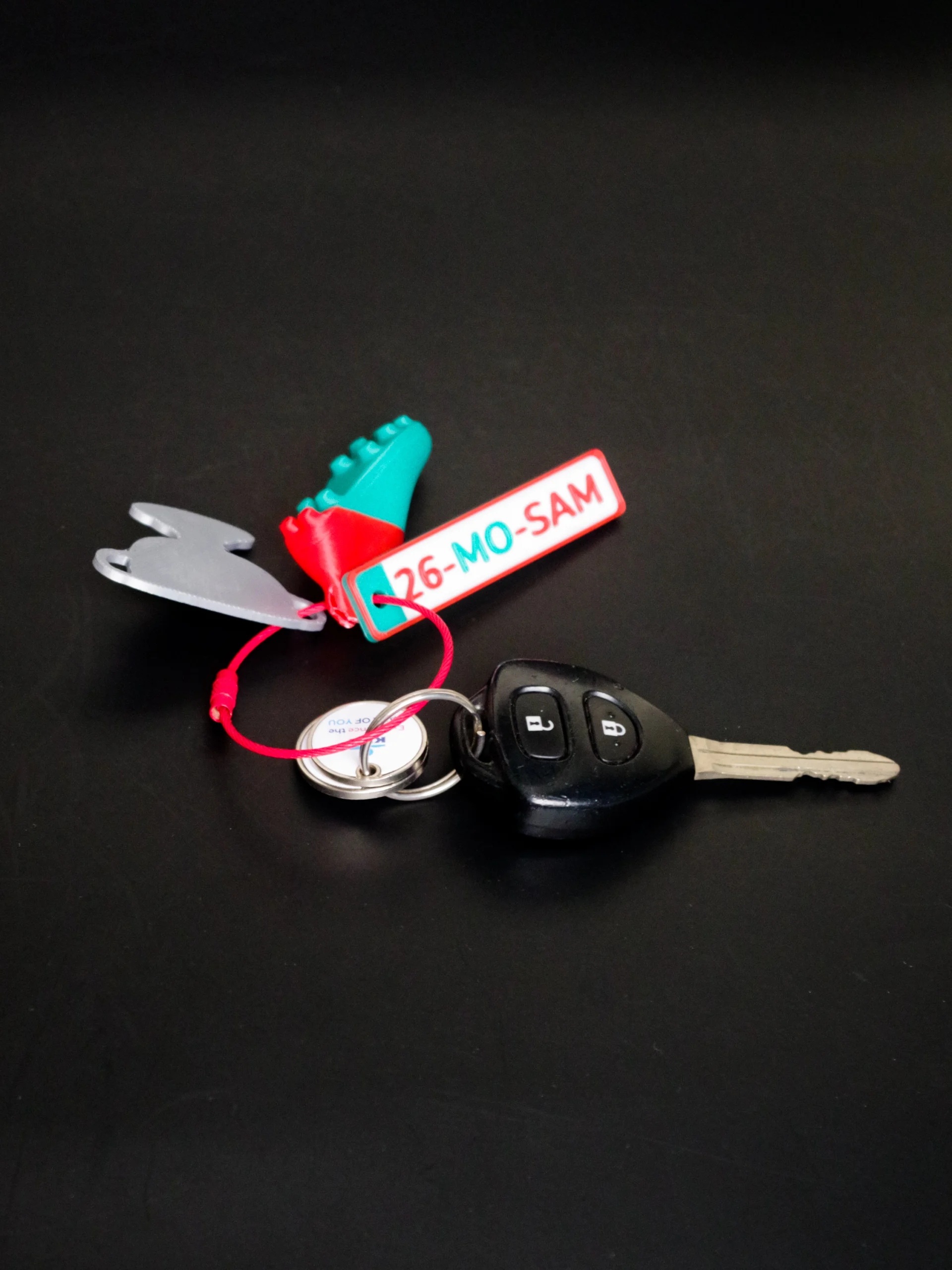 Mayo Champion Keychain | County Mayo Unique Gift | Irish Souvenir | Mayo Supporter Gift | Sam Maguire cup 2026